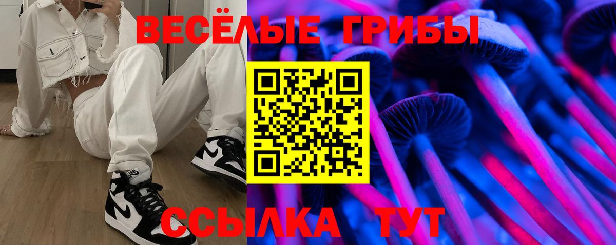 Галлюциногенные грибы Psilocybe Назрань